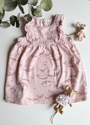 Сукня плаття h&m 74 (6-9 м) рожеве