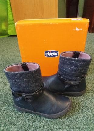 Полусапожки (ботинки) chicco 17см по стельке