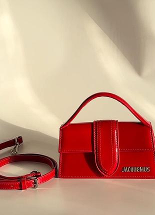 Сумка jacquemus mini
