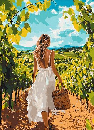 Картина за номерами виноградна алея bs54313
