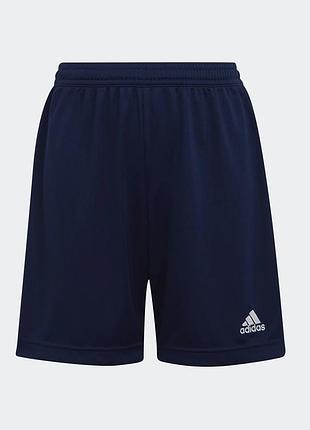 Спортивні футбольні шорти adidas entrada 22