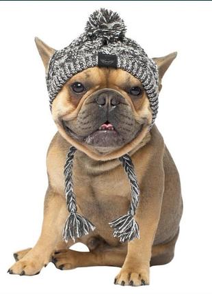 Шапочка для песика🐾
