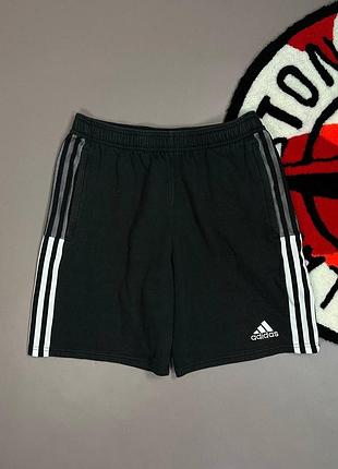 Шорти adidas