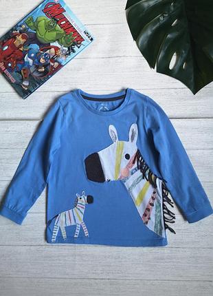 Реглан із зебрами