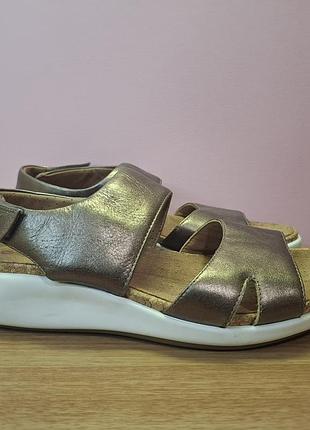 Женские босоножки clarks