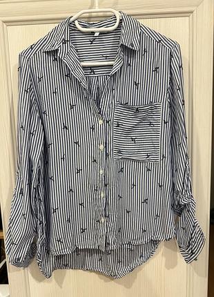 Класна повсякденна сорочка