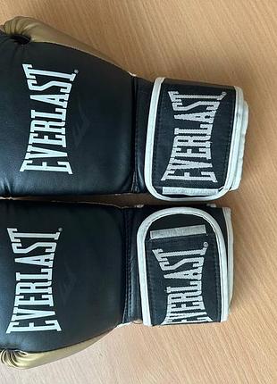 Боксерські рукавиці everlast