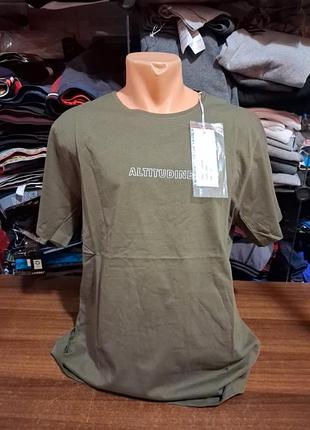 Мужская футболка altitudine