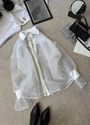 Ефектна прозора сорочка 🔥