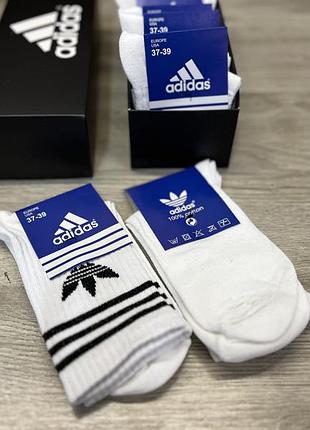 Високі шкарпетки