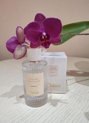 Парфумована вода cedrus chloé ( розпив)