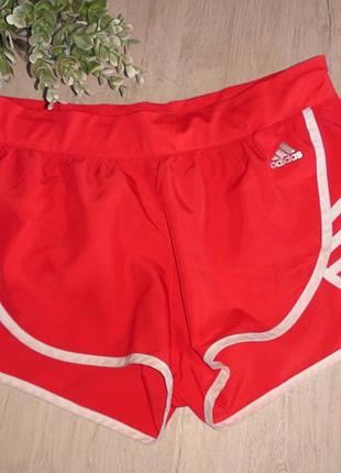 Шорты adidas.