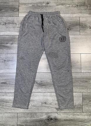 Чоловічі спортивні штани under armour