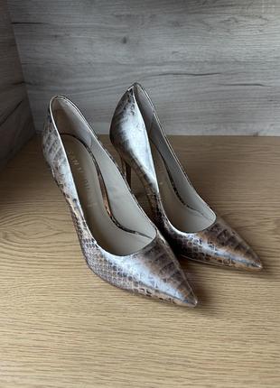 Шикарні туфлі човники