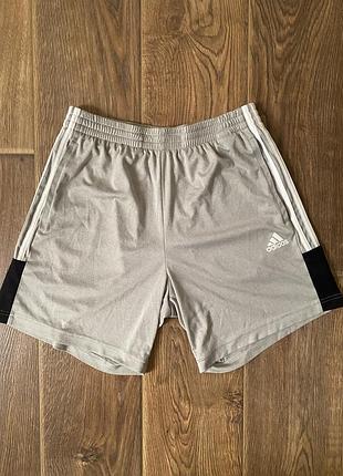 Шорти adidas