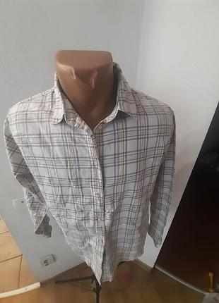 Сорочка чоловіча м