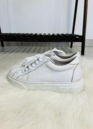 Снікерси barbera s. & figli