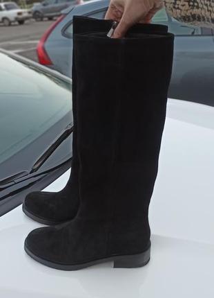 Стильные сапоги трубы из натуральной замши