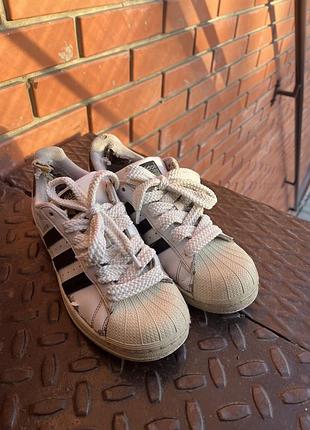 Adidas superstar