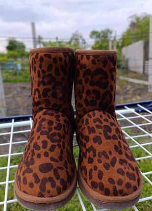 Уги, уггі, леопардові, жіночі, 25,5см