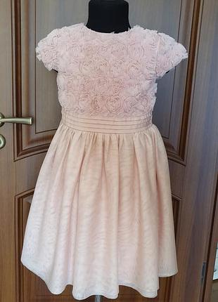 Сукня ошатна фатинова пудра