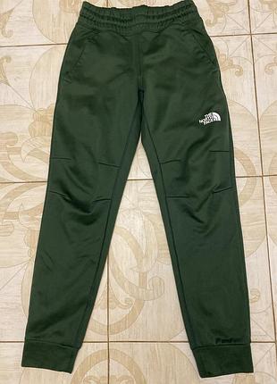 Штани спортивні the north face