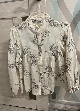 Шикарна блуза