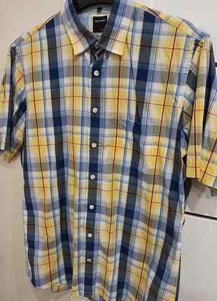 Літня бавовняна сорочка з короткими рукавами, рубашка olymp