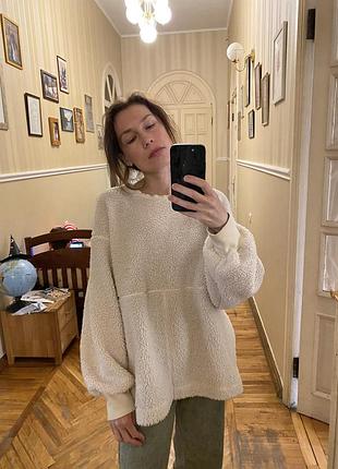 Тедді світшот пайта