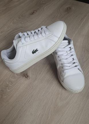 Кеды кожаные lacoste 37 размер оригинал