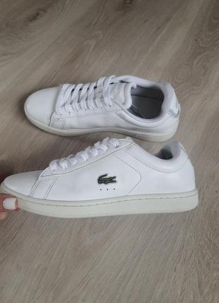 Кеди шкіряні lacoste 37 розмір оригінал 3