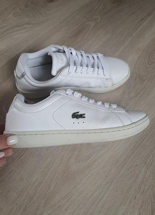Кеди шкіряні lacoste 37 розмір оригінал 2