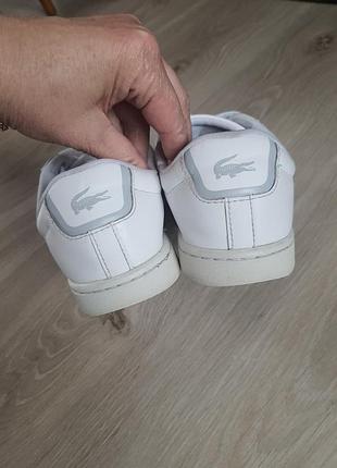 Кеди шкіряні lacoste 37 розмір оригінал 5
