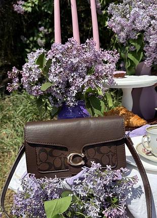 Сумка жіноча coach tabby в коричневому кольорі