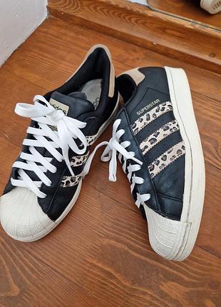 Кроссовки адидас суперстар adidas superstar leopard 40 р