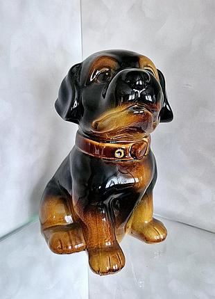 Статуетка майоліка собака ротвейлер