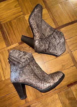 Ботильоны из кожи питона.