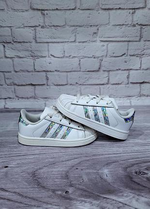 Кроссовки pants adidas superstar