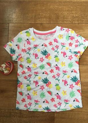 Хлопковая футболка на девочку 3-4 годика попугаи арбуз matalan бангладеш