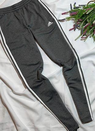 Спортивні штани adidas
