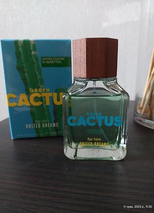 Benetton united dreams green cactus for him