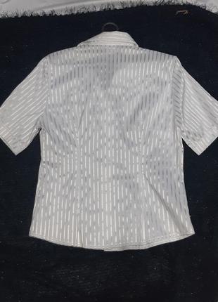 Блузка польша 2