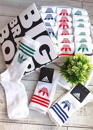 Високі шкарпетки adidas
