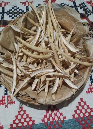 Чай из створок фасоли. мочегонный, диабетикам.