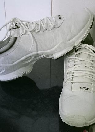 Кроссовки ecco biom