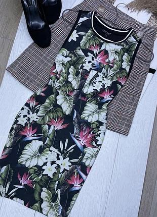 Коротка сукня topshop s плаття футляр коротке плаття в квітковий принт