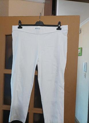 Бриджи белые