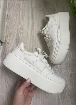 Кросівки кеди на високій підошві платформі танкетці зара zara пітон
