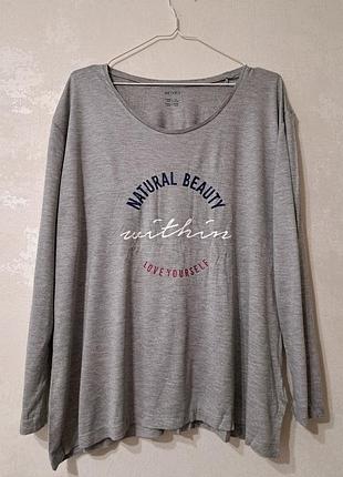 Лонгслив серый с надписью