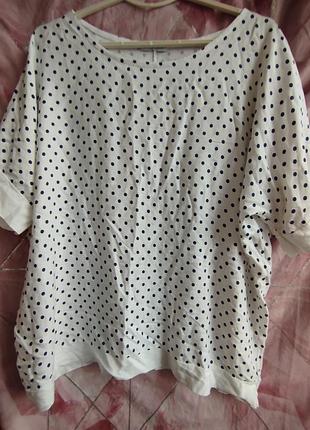 Блуза, туніка